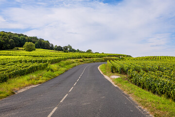 Les vignobles de vin pétillant de Champagne