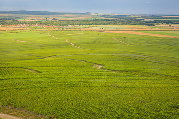 Les vignobles de vin pétillant de Champagne