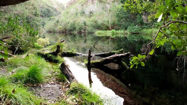 Forested area on dam water's edge, calm scene on Disa Kloof Trail Harold Porter