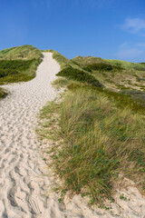 Weg durch die Dünenlandschaft auf Sylt, Deutschland