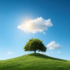 Obraz premium Lone tree on a grassy hill under blue sky