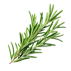 Fototapeta premium Rosemary isolated on white background, Top view, generative ai
