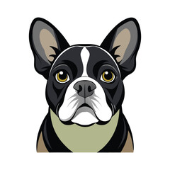 bulldog vector design 