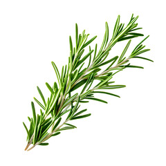 Rosemary isolated on white background, Top view, generative ai