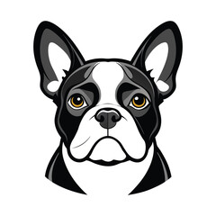 bulldog vector design 