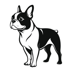 bulldog vector design 