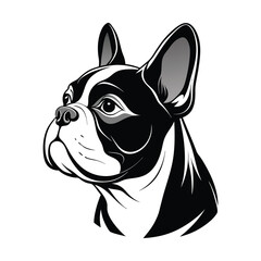 bulldog vector design 