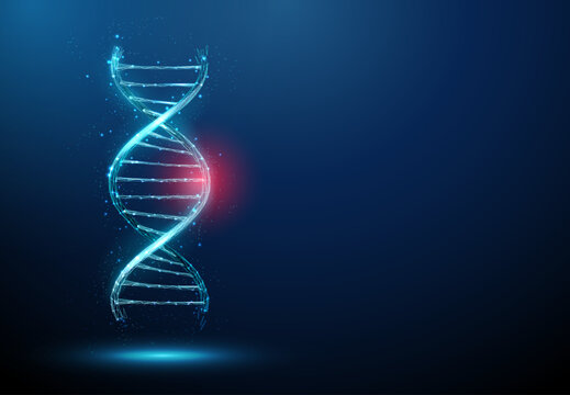 Blue 3d DNA molecule helix with red spot. DNA damage, gene editing, genetic mutation, genetic biotechnology engineering concept. Low poly futuristic style