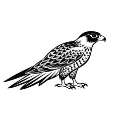 Fototapeta premium eagle on a white background
