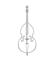 Bass Illustration © jasmine