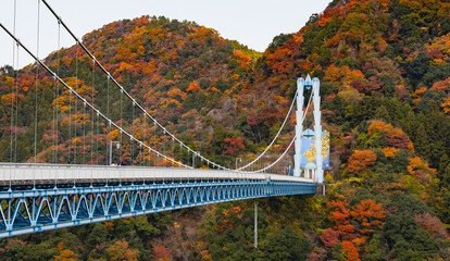 竜神大吊橋