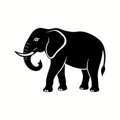 Fototapeta premium Elephant silhouette 