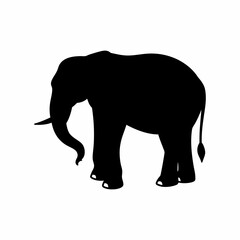 Obraz premium Elephant silhouette 