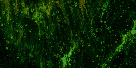 Colorful Textures and Patterns with a Touch of Gold Paint
