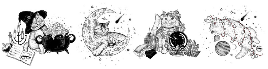 Vector set of 4 magical cats. Wizard cat with potion, tabby kitten on the moon, fortune teller cat and kitty in space © Viktoriia Holovko