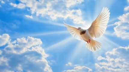 Fototapeta premium A white dove flying with wings spread wide against a bright blue sky with clouds