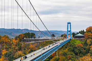 Fototapeta premium 竜神大吊橋