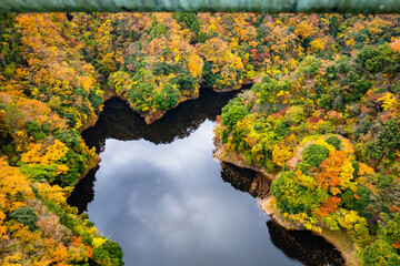 竜神大吊橋