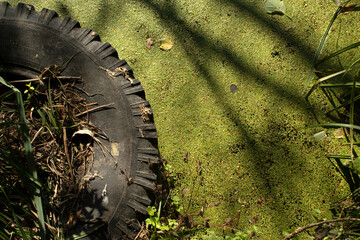 Old tire in dirty pond water	