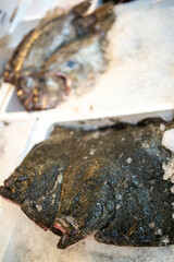 Fresh turbot and sea bass are displayed on ice, ready for cooking. Ideal for seafood markets or restaurant advertising.
