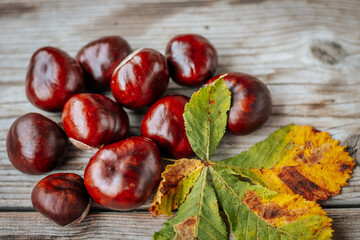 Obraz premium Close-up of shiny horse chestnuts scattered around a green and yellow autumn leaf resting on a rustic wooden surface. The mix of textures and colors captures the essence of the fall season.