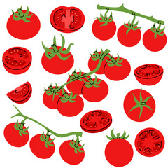 Red tomato shown in different stages, including cross sections, slices, and whole, in a hand drawn style