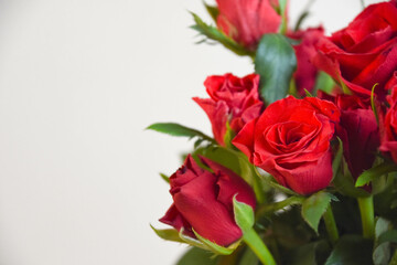 赤い薔薇