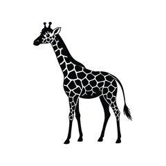 Naklejka premium Giraffe silhouette 