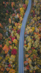 Amazing city Kamouraska during fall season, drone photography