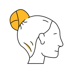 bun hairstyle female line icon vector. bun hairstyle female sign. isolated symbol illustration