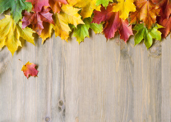 Obraz premium Thanksgiving background. Maple autumn leaves of various colors on the wooden background with free space for Happy Thanksgiving text