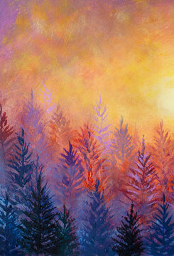 Colorful sunset illuminating misty coniferous forest painting