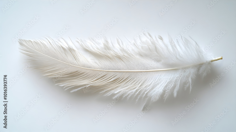 Poster soft,white feather floating on a plain,minimal background. this delicate,ethereal plume creates a se