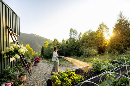 A woman waters her garden in the early morning, surrounded by lush greenery and a stunning mountain view. The peaceful moment captures the essence of life in harmony with nature