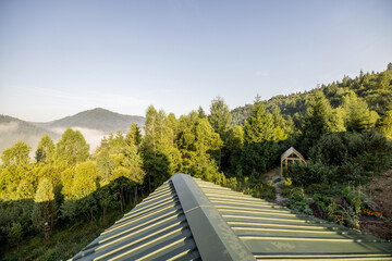 A serene view from the green rooftop of a modern home, looking out over a lush forested valley with a greenhouse nestled among the trees, bathed in the soft morning light