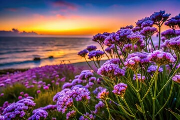 Fototapeta premium Limonium Latifolium Sea Lavender Blooming in a Coastal Landscape with Vibrant Purple Flowers