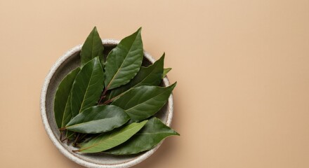 Fresh Bay Leaves in a Bowl on Beige Background