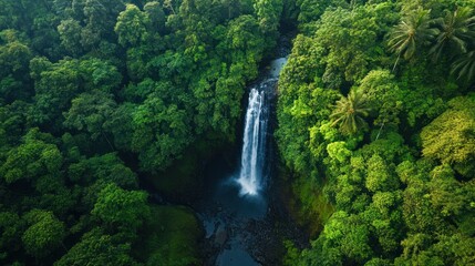 Aerial View of Lush Rainforest Waterfall