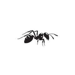 ant silhouettes vectors with white background