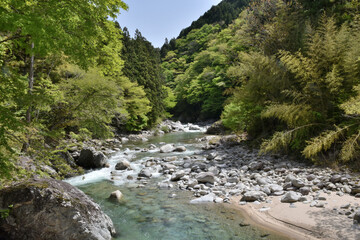 青味がかったきれいな川の水、美しい新緑の山