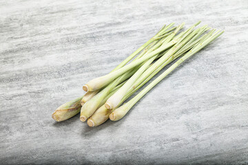 Lemongrass - Asian aroma plant for cooking