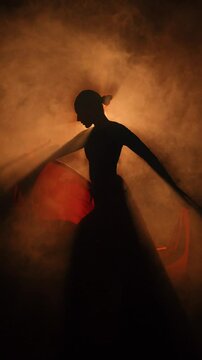 Silhouette of a woman in a red skirt dancing Latin in smoke in neon light. Dance concept. Bachata, Flamenco.Latino.Rumba.Samba.vertical video 4k