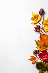 Asymmetrical Autumn Design | Minimalistic | Decorative Border with Autumn Leaves