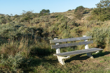 Obraz premium resting bench in the dunes in the sun