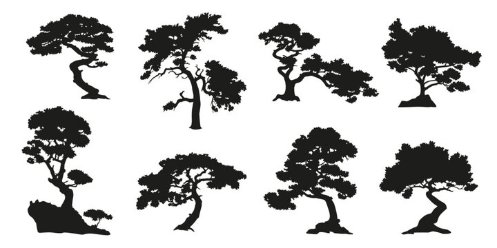 small pine tree silhouettes on the white background volume 2