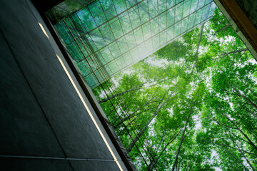 Eco-friendly building in modern city. Sustainable glass office building with trees for reducing carbon dioxide. Office building with green environment. Corporate building reduce CO2. Net zero emission