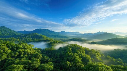 Obraz premium Aerial view of a tropical rainforest, dense canopy of trees with mist rising in the distance