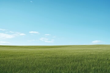 Fototapeta premium Serene green field under sky