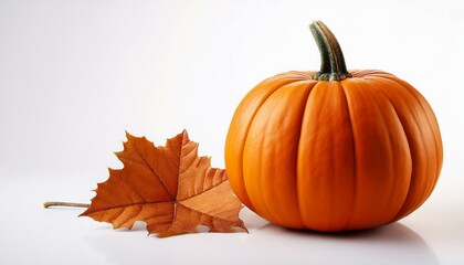 pumpkin on white background