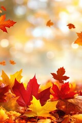 Obraz premium Vibrant Autumn Leaves with a Blurred Background.